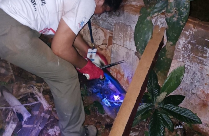 Vigilância em Saúde vai realizar busca ativa por escorpiões toda terça-feira em São Miguel do Iguaçu