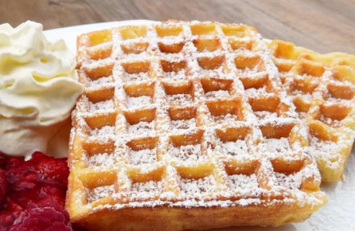 Waffle de liquidificador