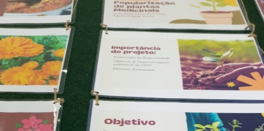 1º Seminário: "Popularização de Plantas Medicinais"
