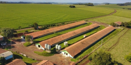 14 municípios do PR ultrapassam R$ 1 bi em Valor Bruto da Produção Agropecuária