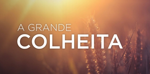 A colheita do amor