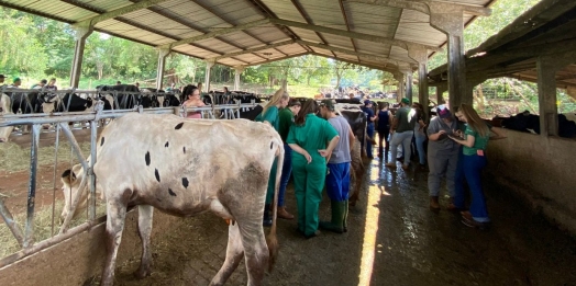 Acadêmicos de Medicina Veterinária da Faculdade UNIGUAÇU realizam Aula Prática em Propriedade focada em Bovinocultura de Leite