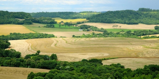 Acordo permitirá a compra de 3 mil hectares de terras paras indígenas em Santa Helena e região