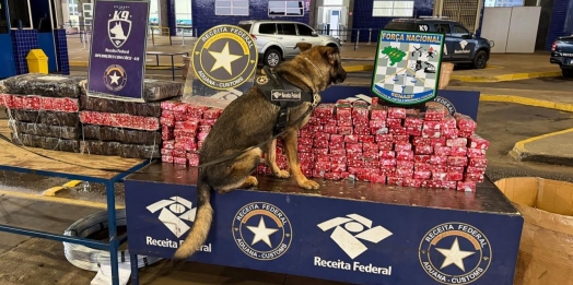Agente Canino Pike localiza 248 kg de substância análoga à maconha em van paraguaia na Aduana da Ponte da Amizade