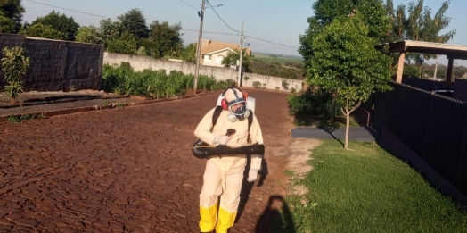 Agentes de Endemias continuam com Bloqueio de Casos de Dengue em Missal