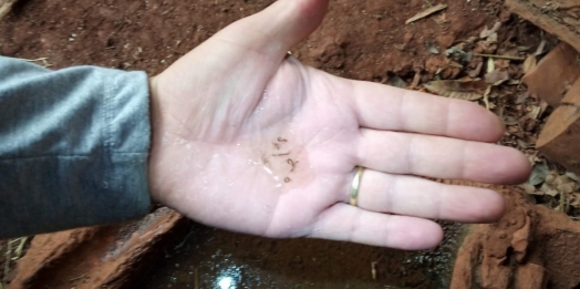 Agentes de Endemias pedem atenção da população quanto a eliminação dos focos do mosquito da dengue