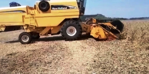 Agricultor aproveita clima bom e acelera colheita da soja em Medianeira