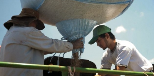 Agricultores estão apreensivos com alta dos insumos no Paraná