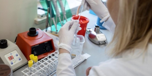 Anvisa: dois casos da variante Ômicron são identificados no Brasil