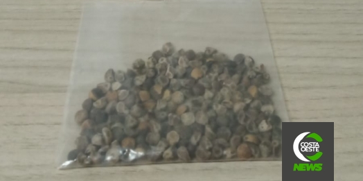 Ao atender jovem em surto, Polícia Militar de Santa Helena apreende droga