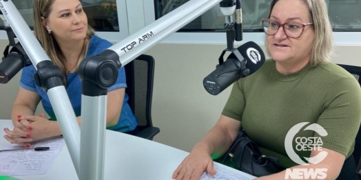 Artesanato criativo é paixão de artistas de Medianeira