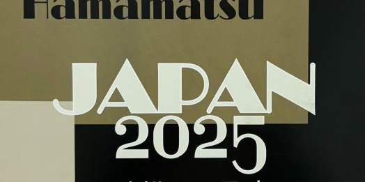 Artista paranaense Eliane Maria de Pieri leva arte ao Japão em celebração aos 130 anos da amizade Brasil-Japão