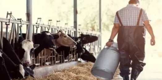 São Miguel do Iguaçu: Associação Acrileite debate incentivos para produtores de leite