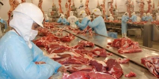 Aumento na produção de carnes garante abastecimento interno e exportações, aponta Conab