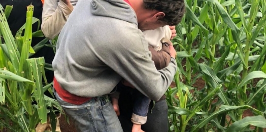 Bebê desaparecido no interior do Paraná é encontrado em milharal