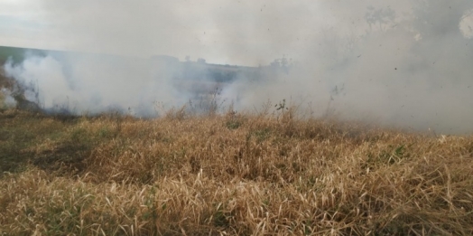 Bombeiros combatem incêndio de grandes proporções no interior de Guaíra e fazem alerta