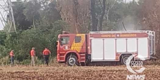 Bombeiros e Defesa Civil atendem incêndio ambiental próximo ao Cristo Esplendor em Santa Helena