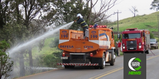 Bombeiros e Defesa Civil são acionados para combater incêndio às margens da PR 488 em Diamante do Oeste