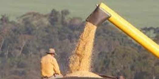 Bônus da PGPAF inclui milho e sorgo entre os produtos contemplados em março