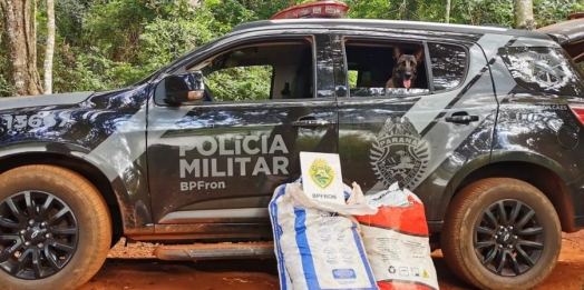 BPFRON apreende agrotóxicos contrabandeados em Pato Bragado