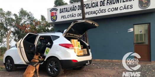 BPFRON apreende carro carregado com drogas em Pato Bragado
