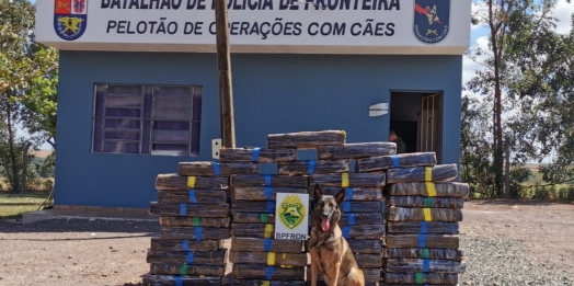 BPFron apreende droga no interior de Santa Helena