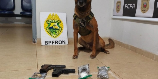 BPFRON apreende drogas, armas e munições durante abordagem em Marechal Cândido Rondon