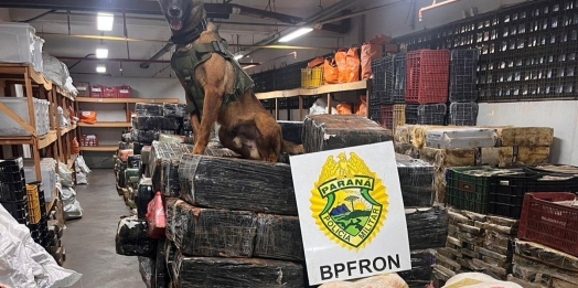 BPFRON apreende quase 6 toneladas de maconha em Santa Helena