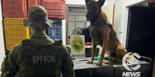 BPFRON apreende uma tonelada de droga em Santa Helena