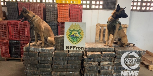 BPFRON apreende uma  tonelada de droga em Santa Helena