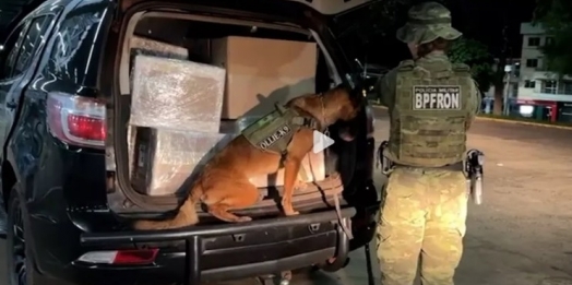 BPFron apreende uma tonelada de maconha e eletrônicos na rodoviária de Cascavel