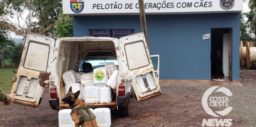 BPFRON apreende veículo carregado com agrotóxicos em Pato Bragado