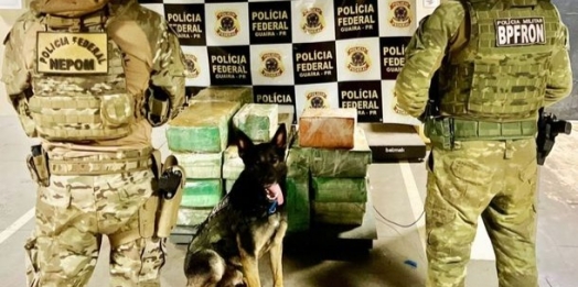 BPFron e NEPOM apreendem mais de 400 Kg de maconha em Pato Bragado