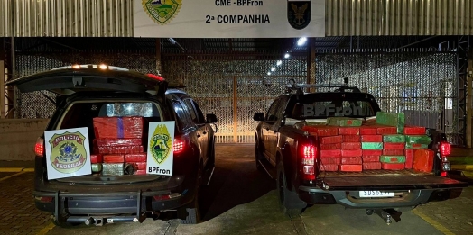 BPFron e NEPOM/PF apreendem 742 kg de maconha escondida em área rural de Guaira