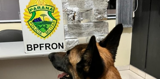 BPFRON e Receita Federal apreendem droga durante abordagem a ônibus em São Miguel do Iguaçu