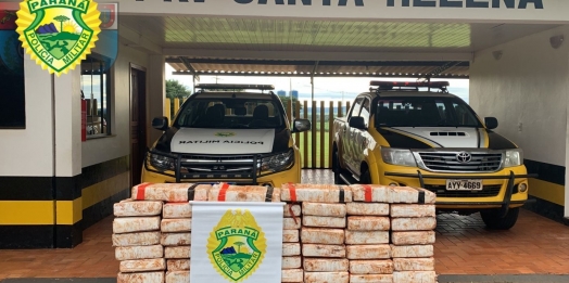 BPRv apreende 700 Kg de maconha  em São José das Palmeiras