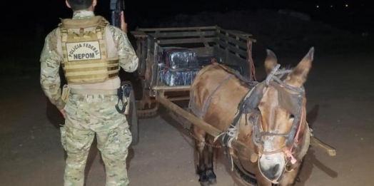 Burro puxando carroça carregada de maconha é apreendido em Guaíra