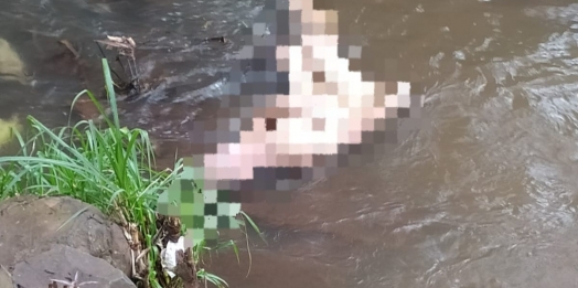 Cadáver é encontrado dentro de rio em Medianeira