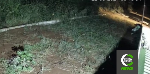 Câmera flagra furto de tábuas durante a madrugada em Santa Helena e PM é acionada