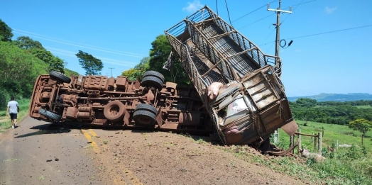 Caminhão carregado com porcos tomba na PR 488