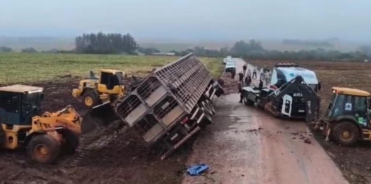 Caminhão transportando suínos tomba durante a madrugada em Santa Helena
