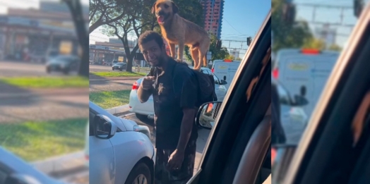 Cãozinho que ficou famoso em vídeo de Zé Neto & Cristiano foi encontrado em estado de abandono