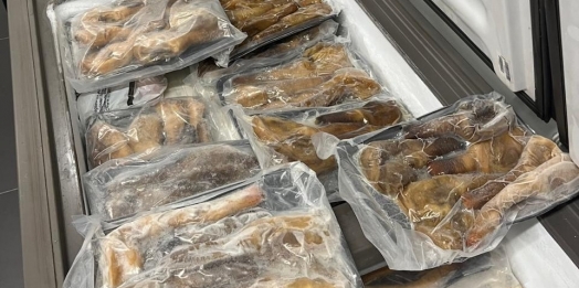 Carga com moluscos exóticos é retida pela Receita Federal em Foz do Iguaçu