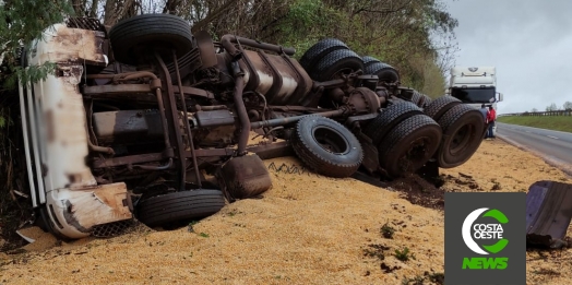 Carreta carregada com milho tomba na BR-277 em São Miguel do Iguaçu