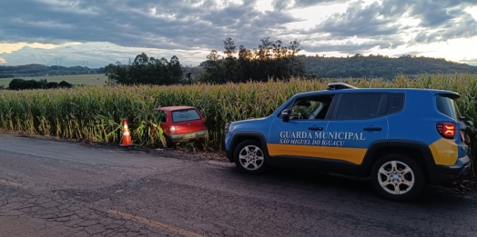 Carro roubado é encontrado em meio a milharal em São Miguel do Iguaçu