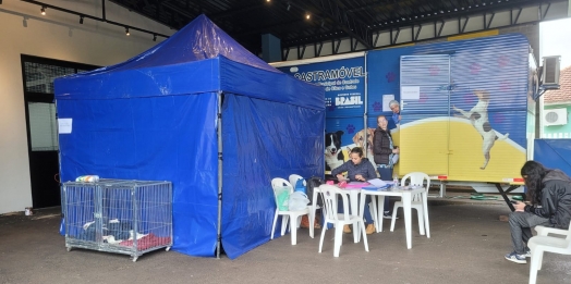 Castramóvel segue com ações em Santa Helena