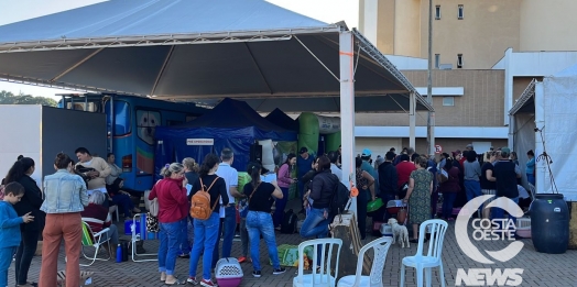 CastraPet Paraná realizou 250 cirurgias de castração ontem em Medianeira