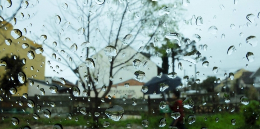 Chuva traz alívio para agricultores e produtores; maior precipitação chegou a 46mm, o menor foi de 8mm na região