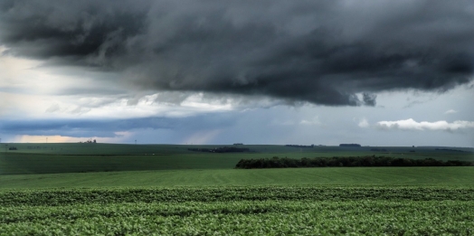Chuvas acima das médias impactam produção agropecuária paranaense