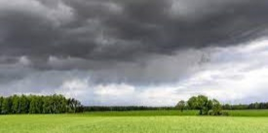 Chuvas irregulares e altas temperaturas impactam cultivos em algumas regiões